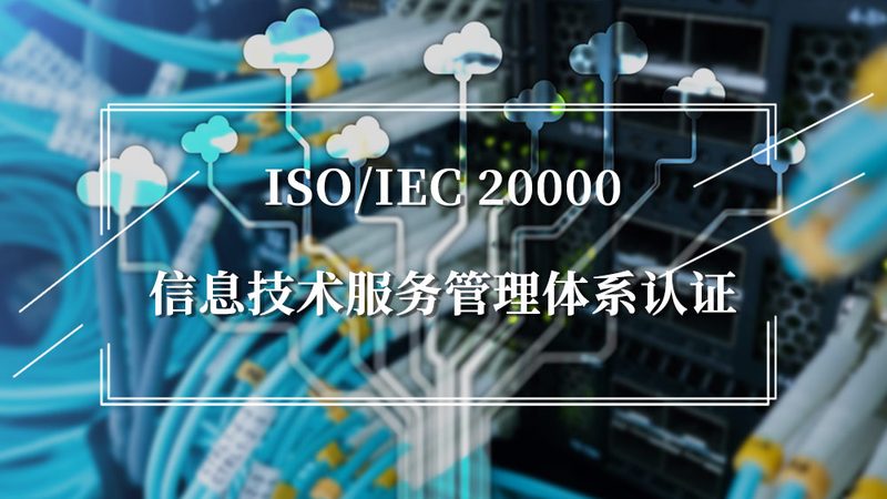 政府项目驻场运维：时间要求背后的考量因素