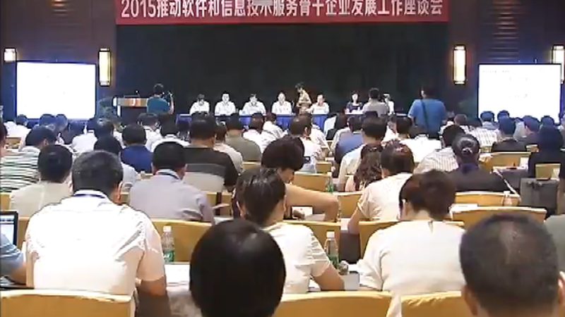 软件开发服务项目价格