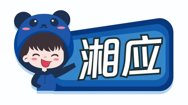 弱电工程中的“生命线”——综合布线批发厂家的选择之道**